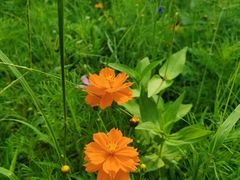 -野鸭湖国家湿地公园