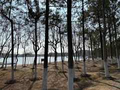 -上海海湾国家森林公园