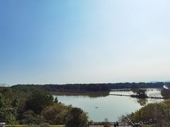 -大湾区中央湿地公园