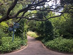 -墨尔本皇家植物园