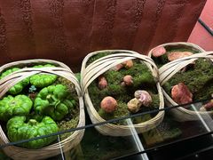 -滇野云南野生菌餐厅(陕西南路店)