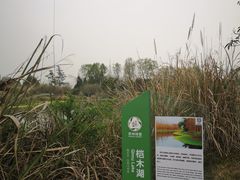 -桤木河湿地公园