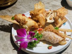 -淘米捞·米汤脆鲩鱼火锅(福田皇岗店)
