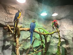 -Zoolung Zoolung动物主题公园(海信广场店)