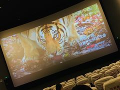 放映厅-CGV影城(万象城激光IMAX店)