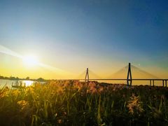 -芒洲湿地公园