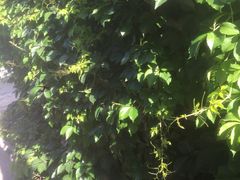 -何适山庄 ·可团建(水长城P2停车场店)