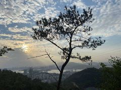 -仙岳公园
