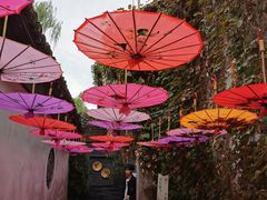 -鱼食饭稻·苏浙土菜17年老馆子(平江路店)