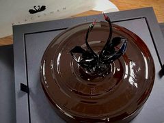 -BLACKSWAN黑天鹅(环球店)