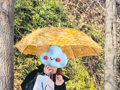 -南京眼步行桥