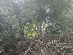 -喻家山