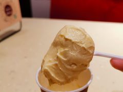 -哈根达斯(石家庄北国店)