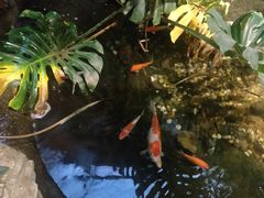 -聚缘堂·海鲜私房菜(松岭路店)