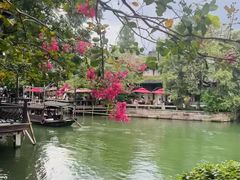 -乌镇西栅景区