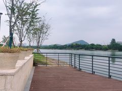 -羊山湖公园
