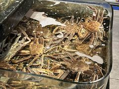 -海鲜e族(马王堆店)