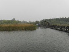 -溱湖国家湿地公园