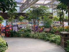 -南宫五洲植物乐园