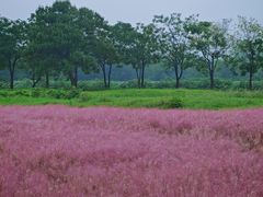 -汉长安城未央宫国家考古遗址公园