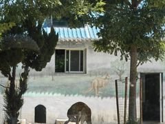 -龙口动植物园