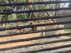 -昆明动物园