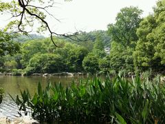 -杭州花家山庄