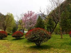 -牛背梁国家森林公园