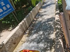 -十渡高山漂流