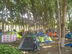 -丁香湖公园