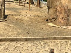 -哈尔滨北方森林动物园
