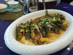 -巨元河鲜酒楼·清远特色菜名店(英德店)