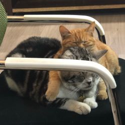 点击看大图 -荔刺青纹身·手穿孔饰品