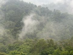 -野象谷景区