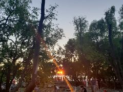 -宝安西湾红树林湿地公园