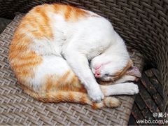 -东部华侨城