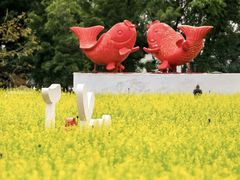 -光明小镇欢乐田园