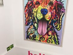 -宠物家(双井店)