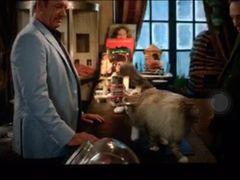 -万达影城(长沙婚庆公园中国巨幕店)