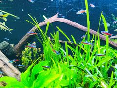 -上海海洋水族馆