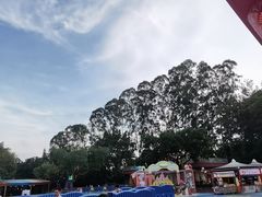 -广州长隆国际大马戏