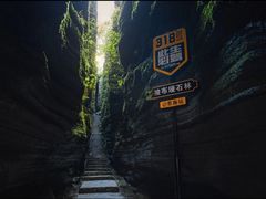 -梭布垭石林景区