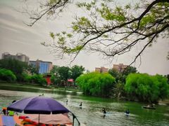 -WhaleSports户外水上运动俱乐部(朝阳公园店)