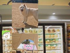 -趣玩宠物乐园寄养训犬训狗游泳池