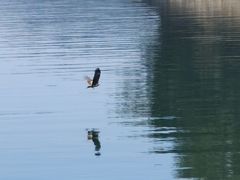 -千岛湖湖人皮划艇俱乐部