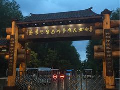 -望天鹅景区
