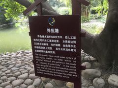 -成都市活水公园