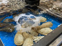 -盒马X会员店(王府井奥莱UP TOWN店)