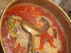 -毛肚向右·川渝毛肚王(经开永旺店)