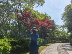 -青龙山公园